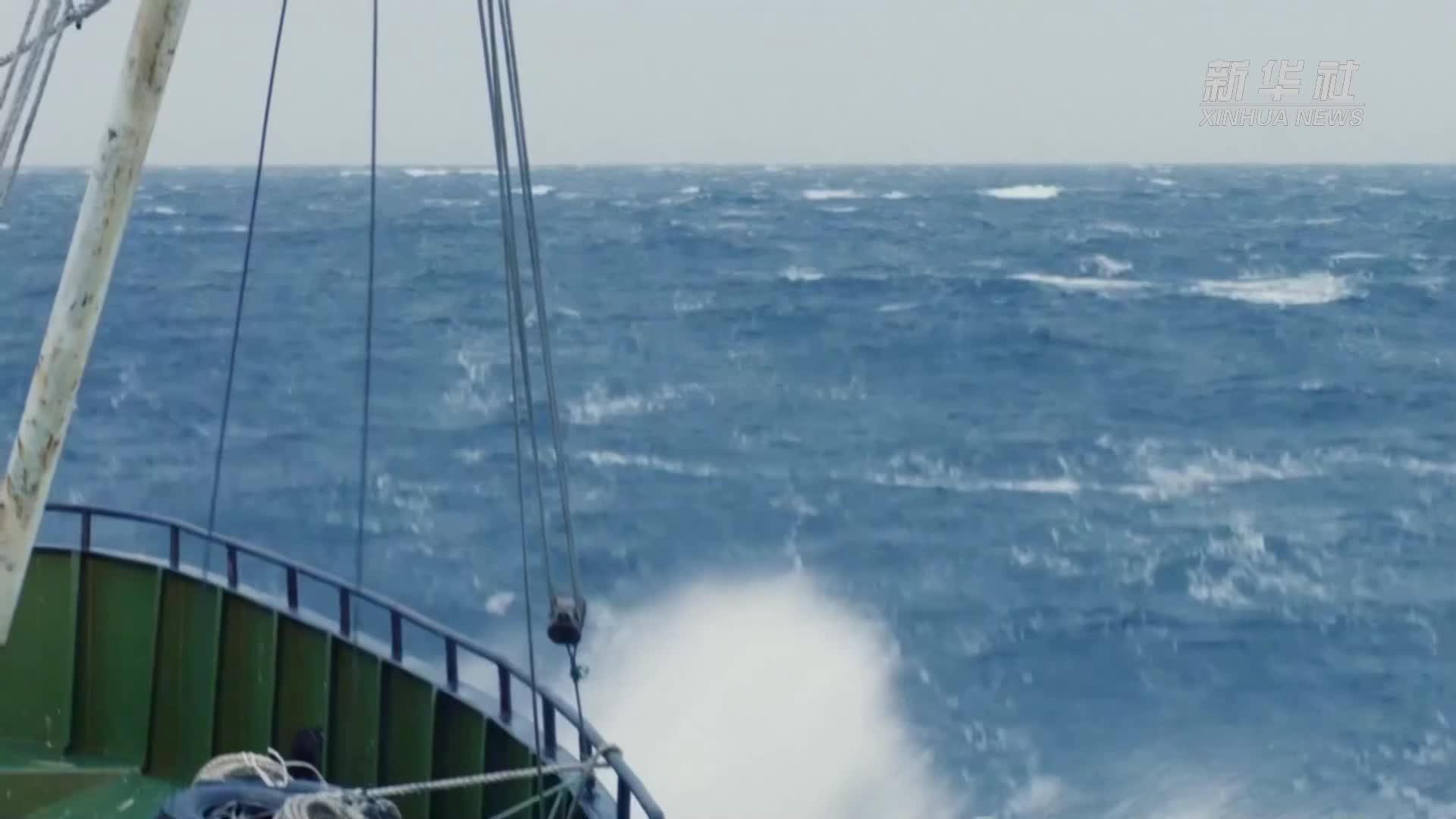 吉林珲春：每年进口超150万只帝王蟹