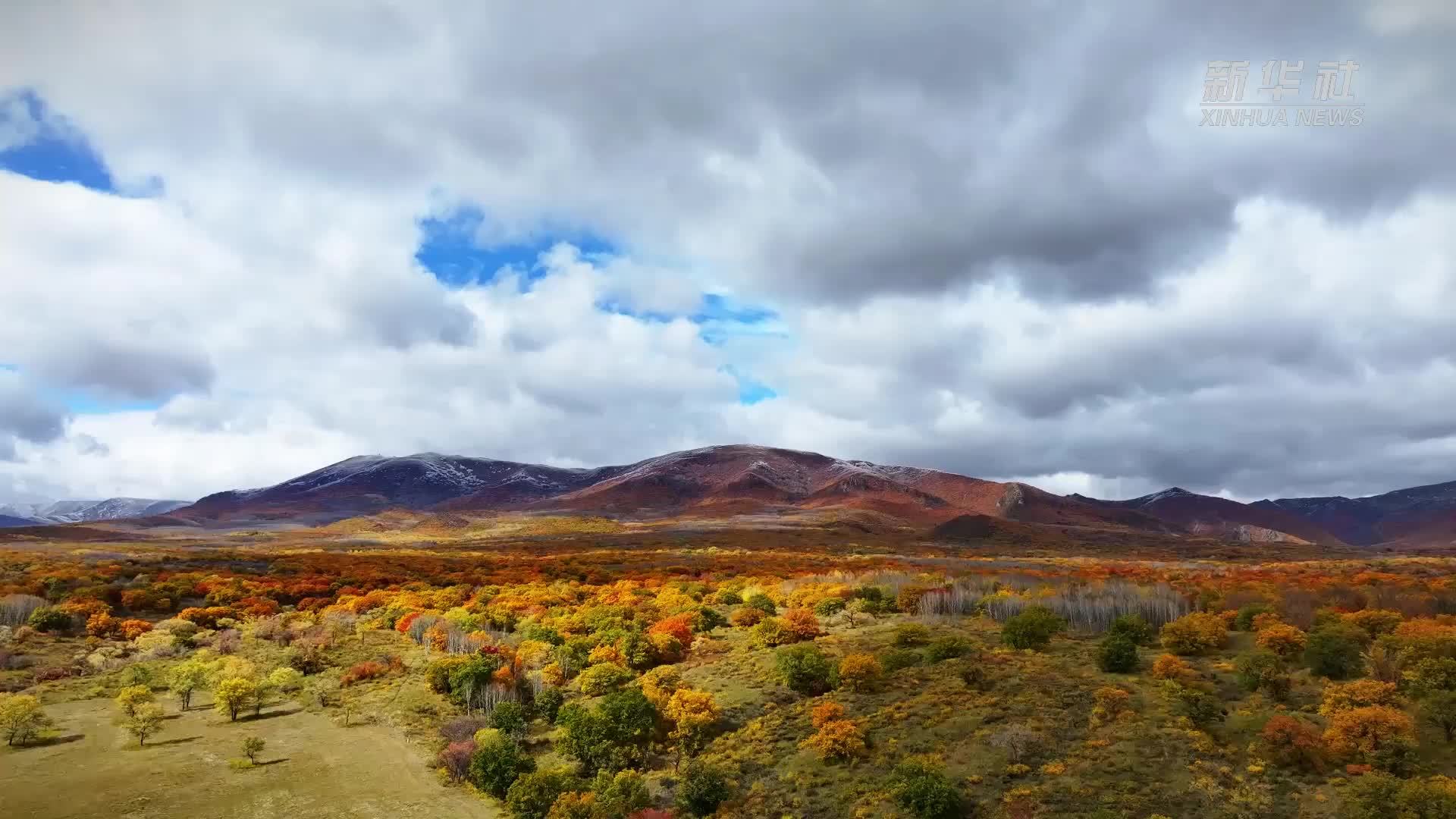 四季旅行·印象内蒙古｜巴林右旗：金秋盛景 五彩画卷