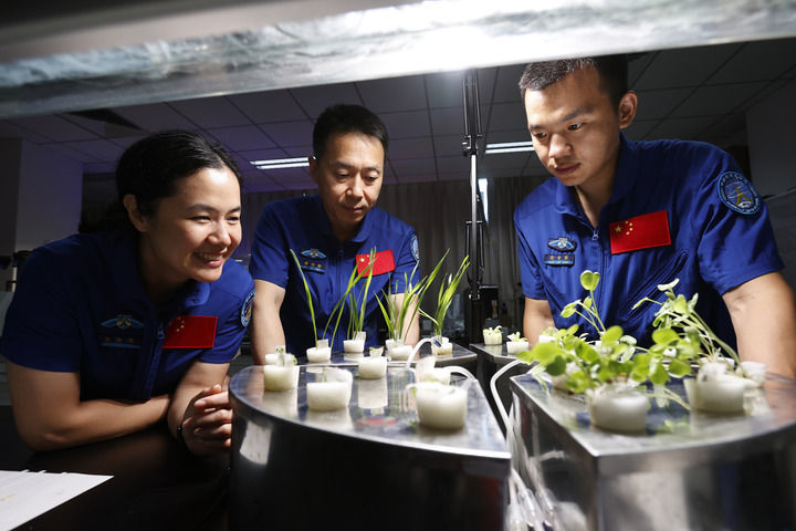 ↑神舟十九号航天员乘组进行植物培养训练（2024年8月27日摄）　新华社发（徐部　摄）