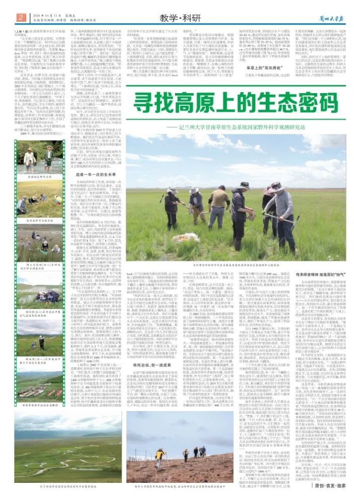 三十载扎根甘南高原　兰大团队揭秘退化草甸修复密码