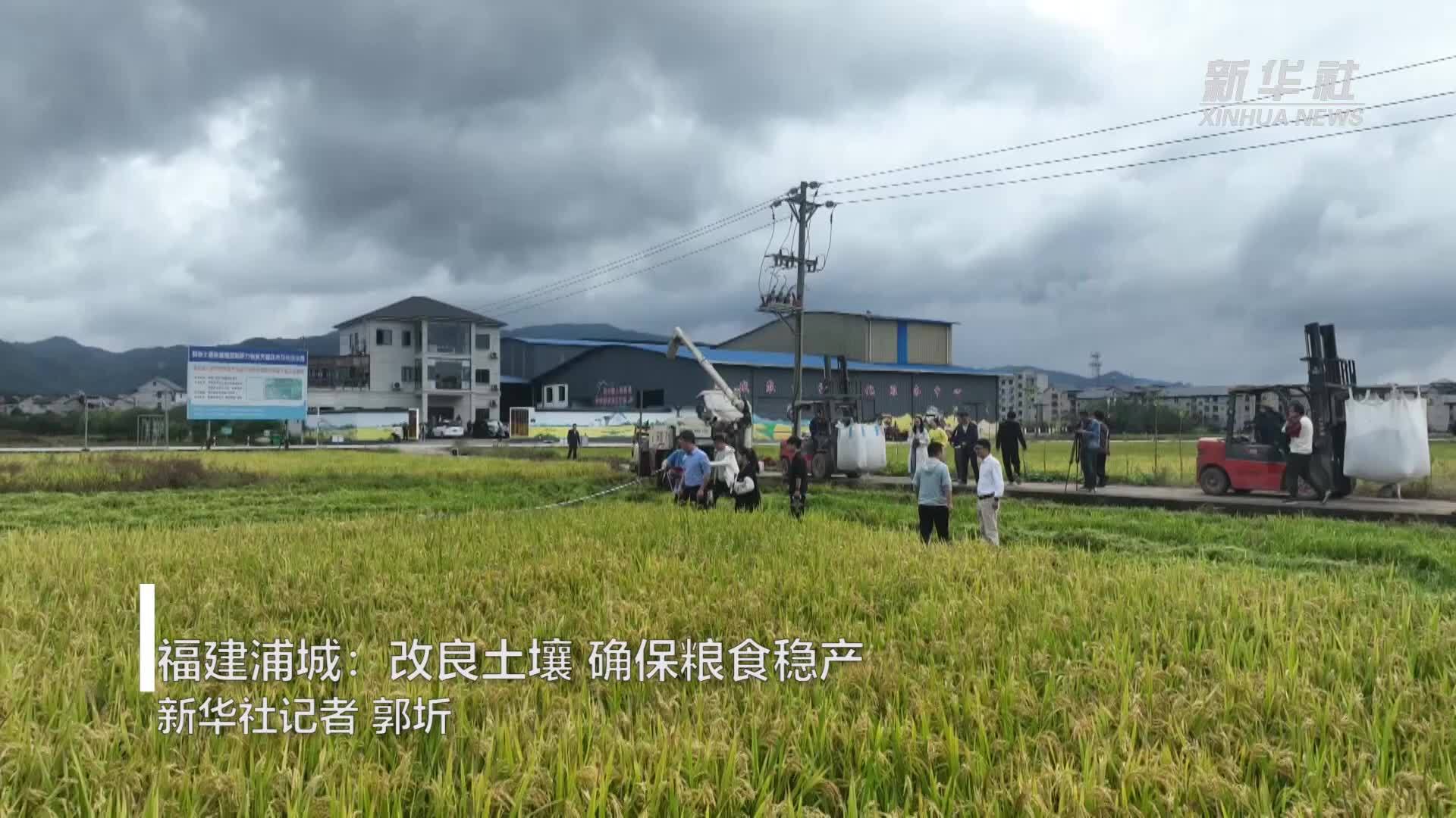 福建浦城：改良土壤 确保粮食稳产