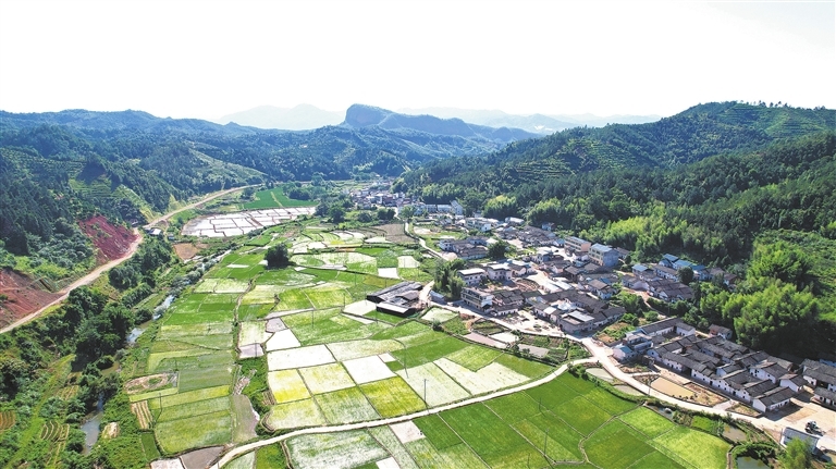 航拍粟田村。