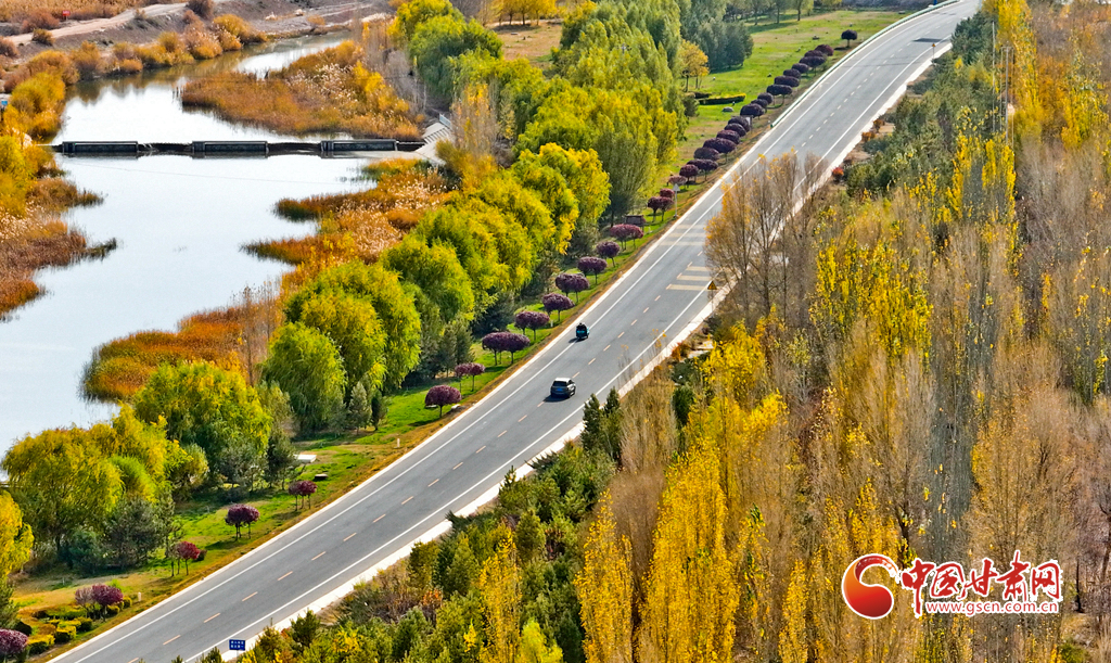 临泽：四好农村路铺就乡村振兴快车道