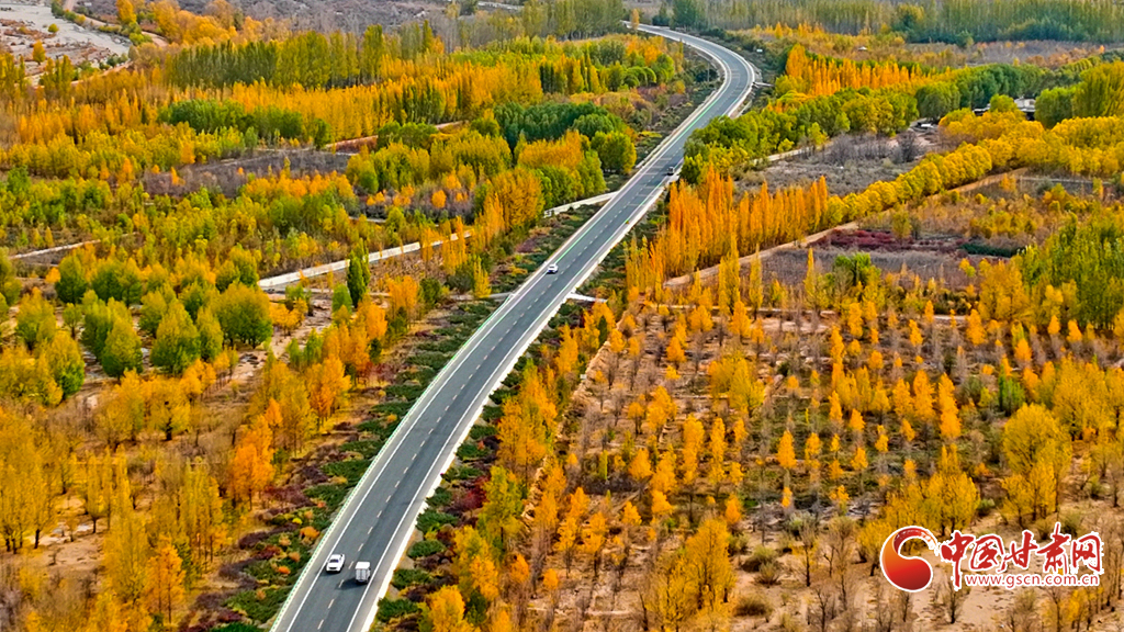 临泽：四好农村路铺就乡村振兴快车道