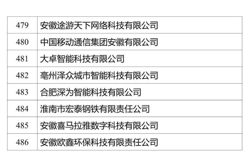 安徽省数据资源管理局最新公示！486家企业拟入选