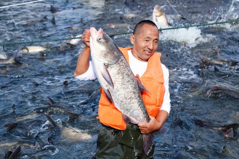 江西武宁大力挖掘渔文化 绘就一派“鱼跃人欢”好景象