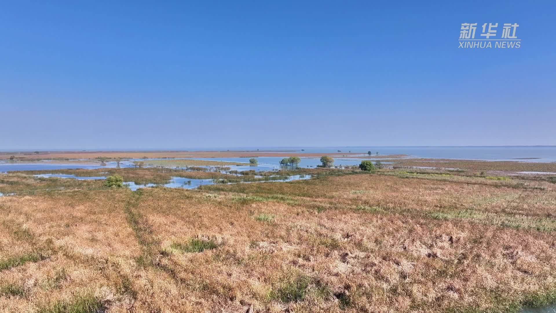 江苏洪泽:洪泽湖迎来2024年首批迁徙候鸟_凤凰网视频_凤凰网