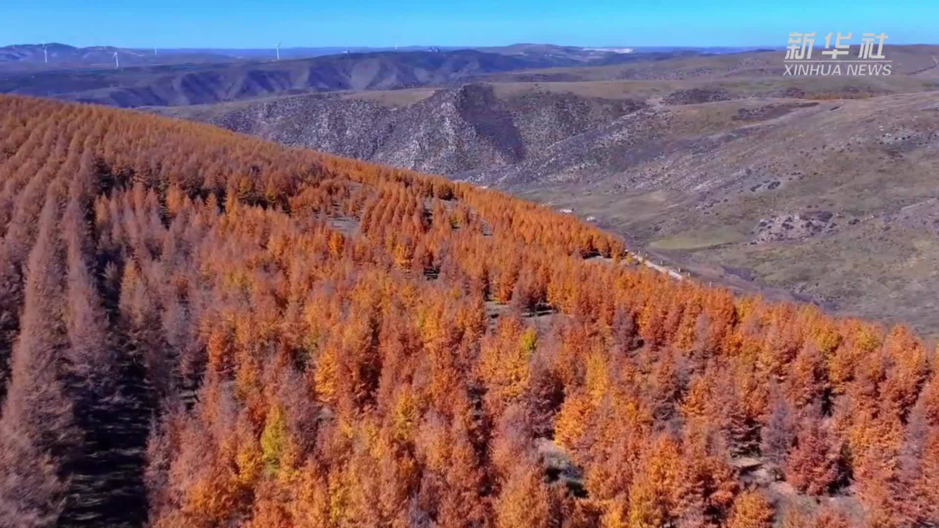 四季旅行·印象内蒙古｜秋韵瞰赛罕