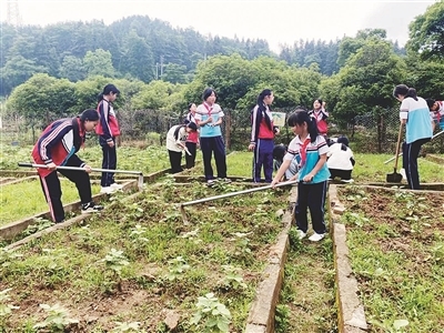 在湾里梅岭学校,学生们正在种菜
