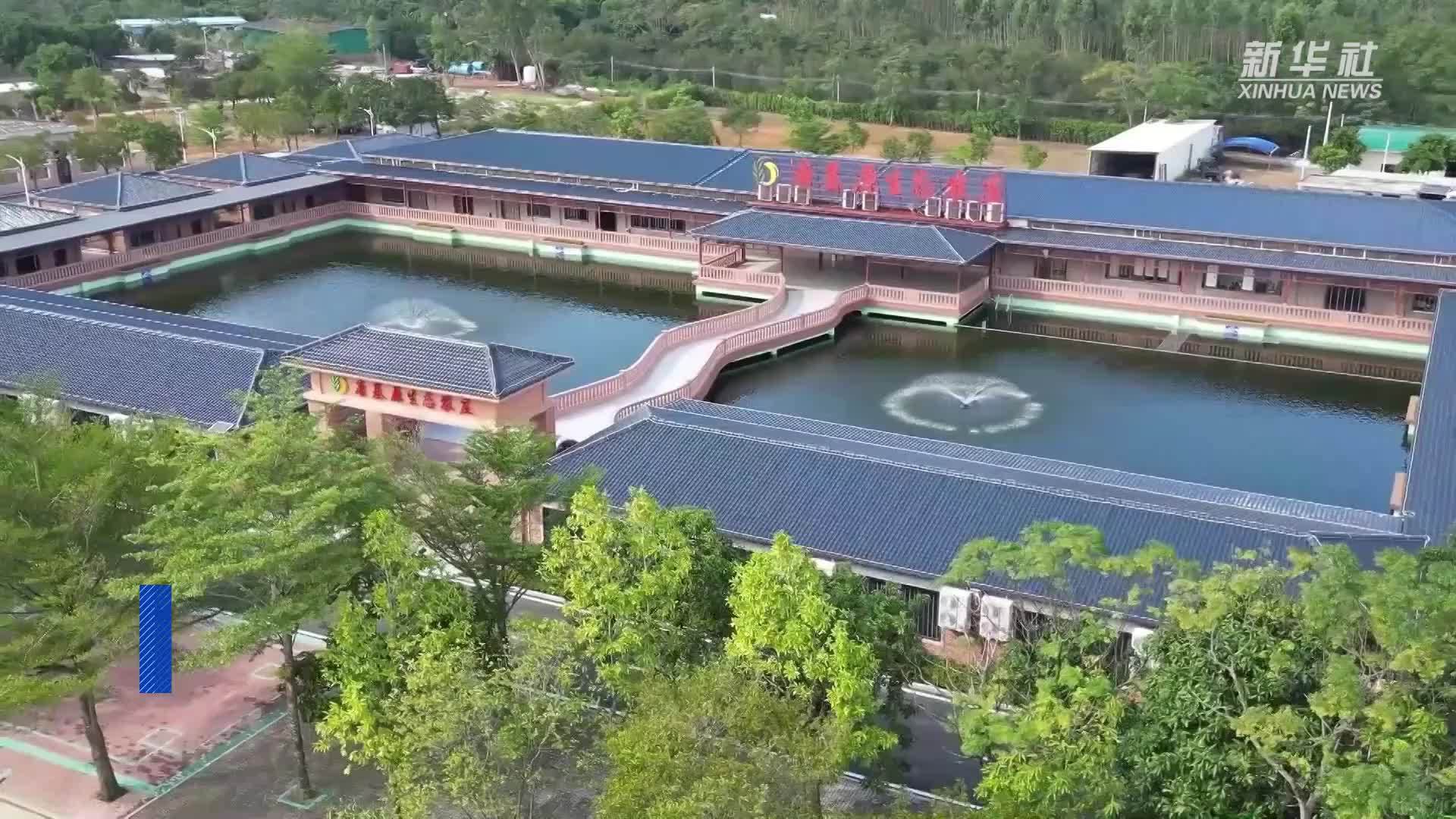 广东吴川：文旅产业为乡村振兴注入新活力