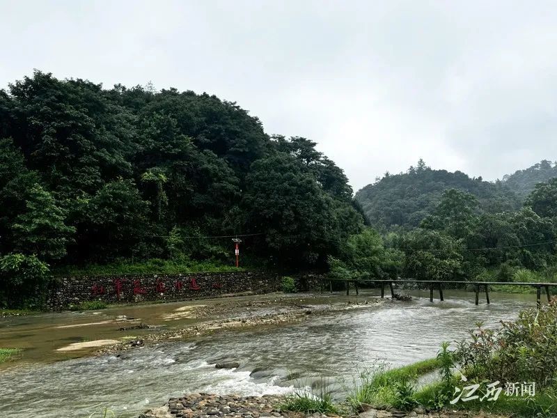 ▲红军长征小道。摄影丨全媒体记者胡宇浓