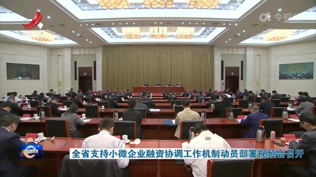 江西省支持小微企业融资协调工作机制动员部署视频会召开