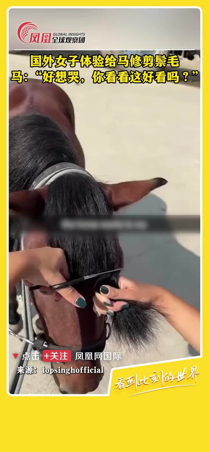 国外女子体验给马修剪鬃毛，一不小心剪成齐刘海了~ #马  #搞笑
