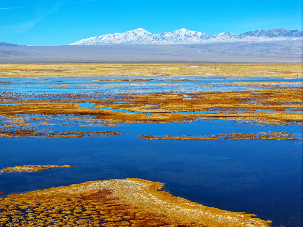 11月2日,在甘肃阿克塞哈萨克族自治县阿伊纳乡境内拍摄的小苏干湖色彩斑斓、静美如画(无人机照片)。