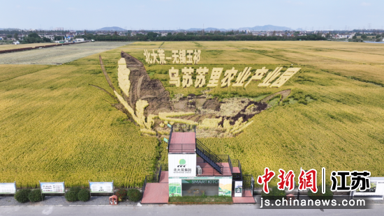 俯瞰北大荒集团·玉祁农业现代化示范基地;2、收割机开足马力、来回穿梭。玉祁街道办事处供图