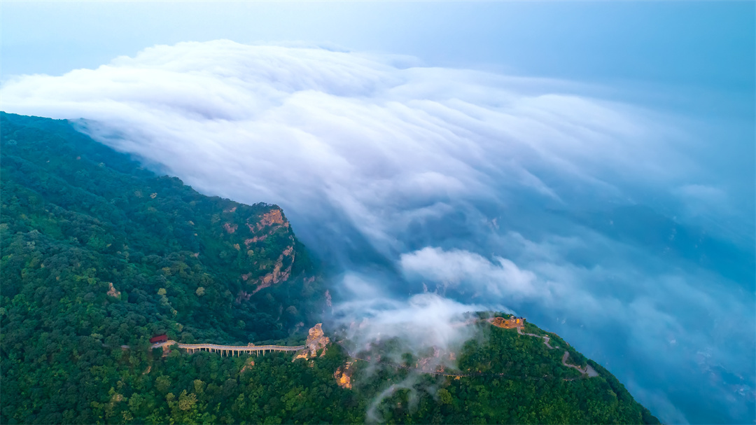 诚邀“最佳合伙人”齐聚花果山：连云港这次要“搞事情”！