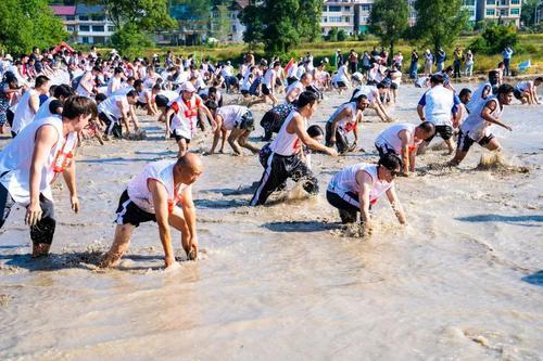 鱼塘抓鱼项目现场