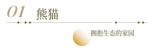 奋进中的“五大新城” | 青绿之间，建构都江堰美学新生活