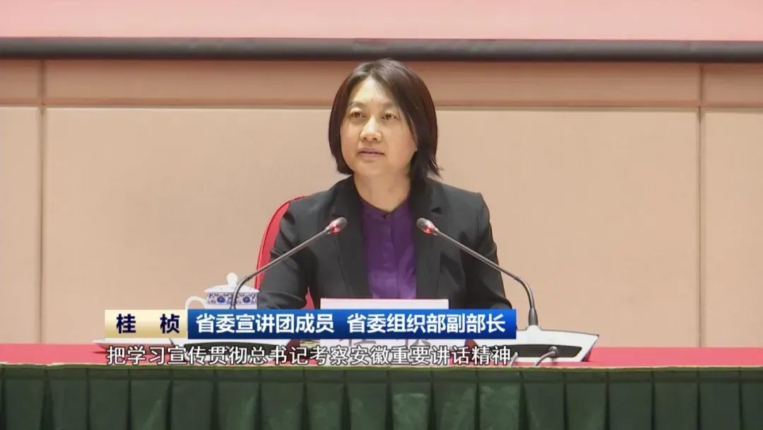 桂桢（资料图 来源：安徽新闻联播）
