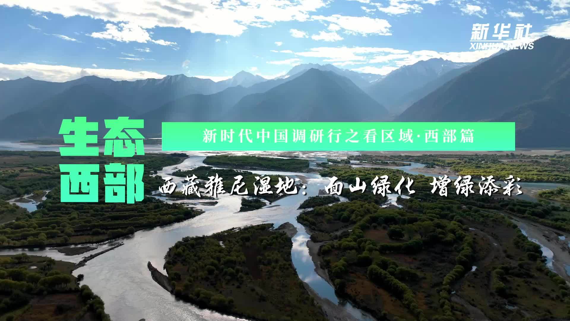 生态西部｜西藏雅尼湿地：面山绿化 增绿添彩