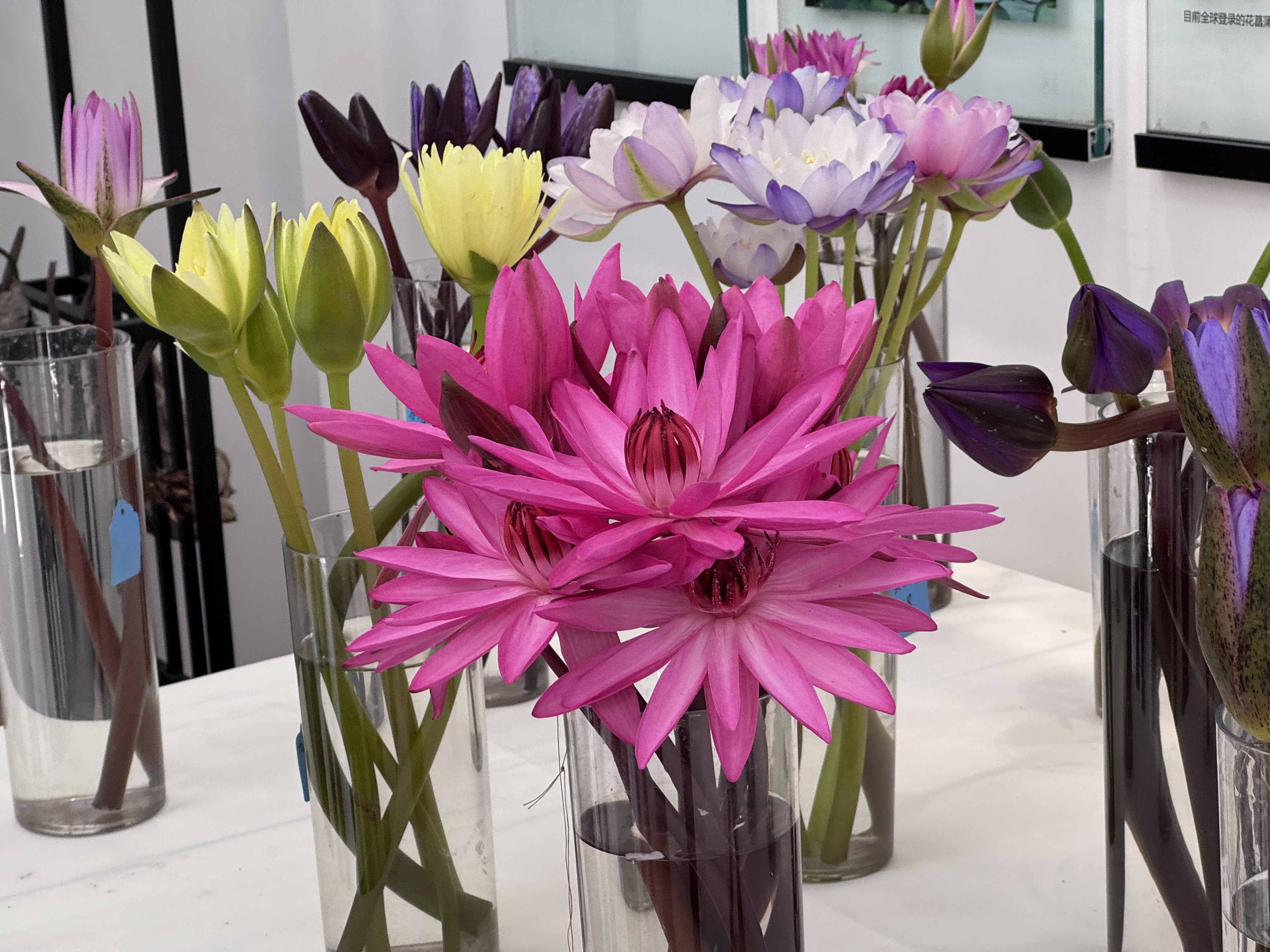 南京中山植物园多场科普展览面向公众开放