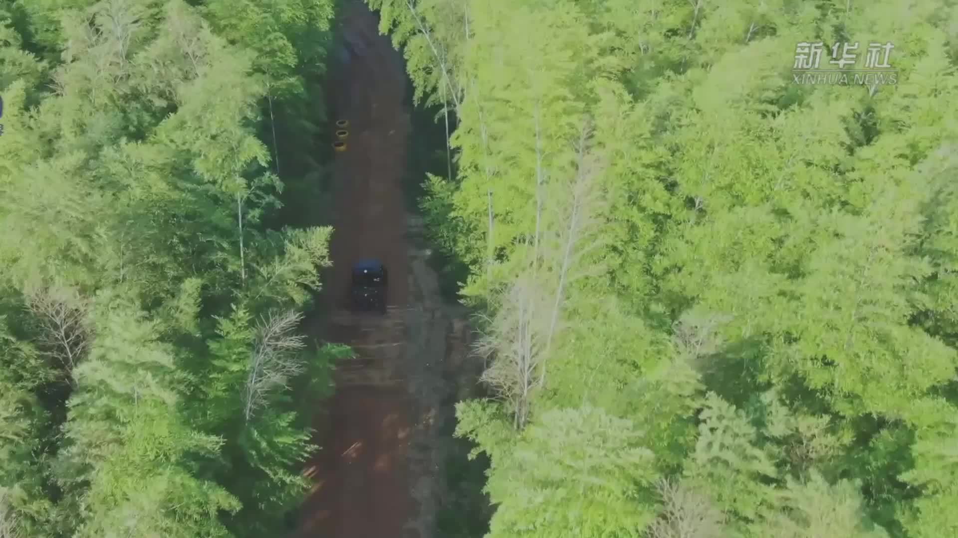 江西贵溪：昔日山林水库变身亲子乐园