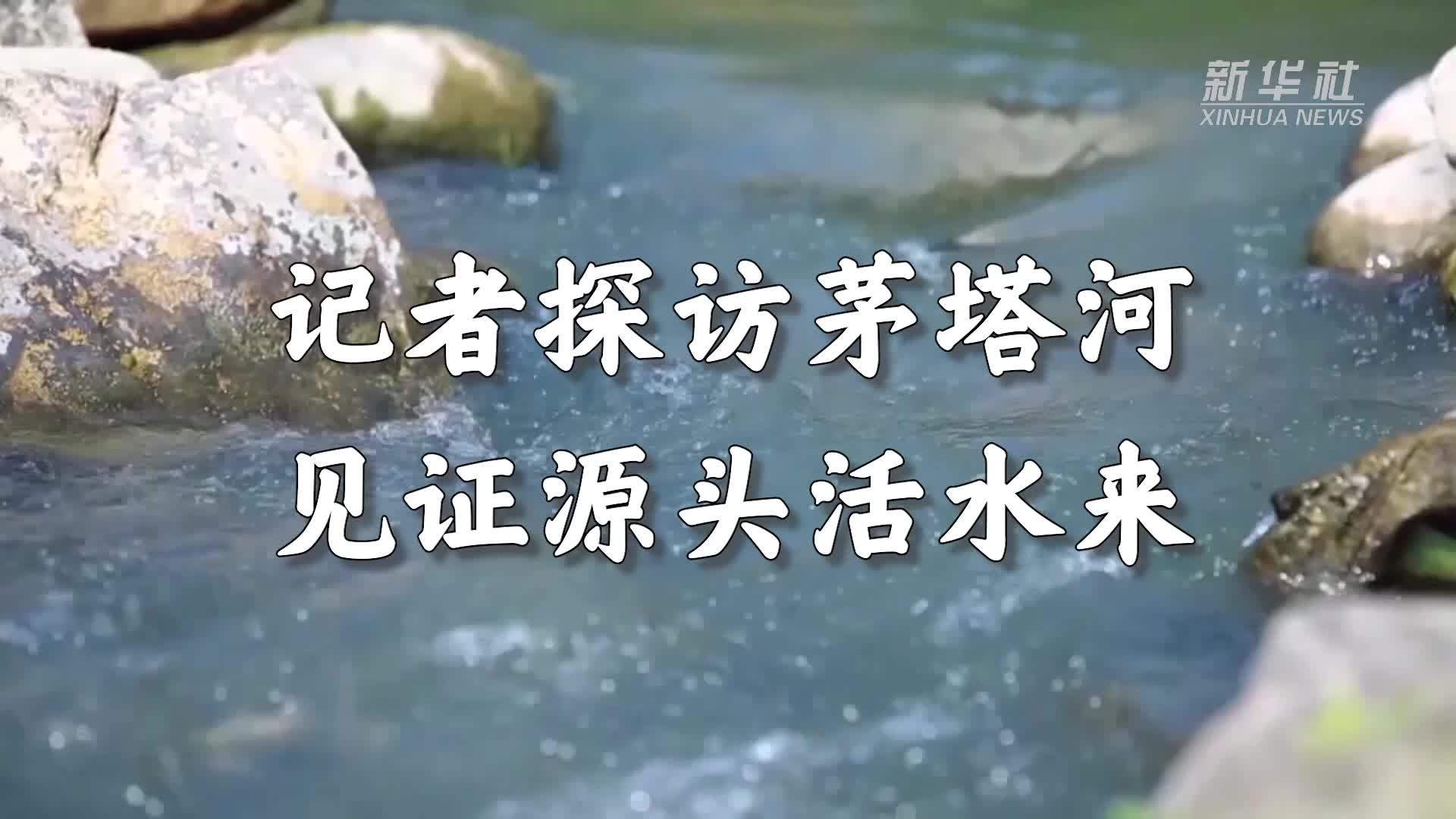 南水北调中线行｜记者探访茅塔河 见证源头活水来