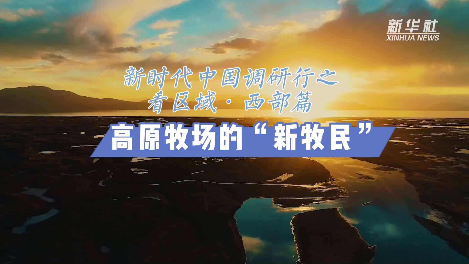 上海环余科技 新时代中国调研行之文化中华·文明探源丨南海沉船遗址:见证海上丝路的“时间胶囊”