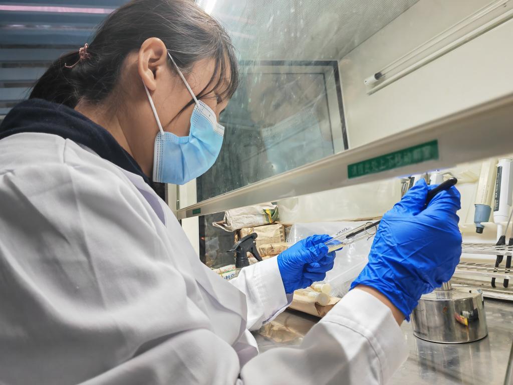 陈玉坤在实验室内进行实验 新华社记者 崔翰超 摄