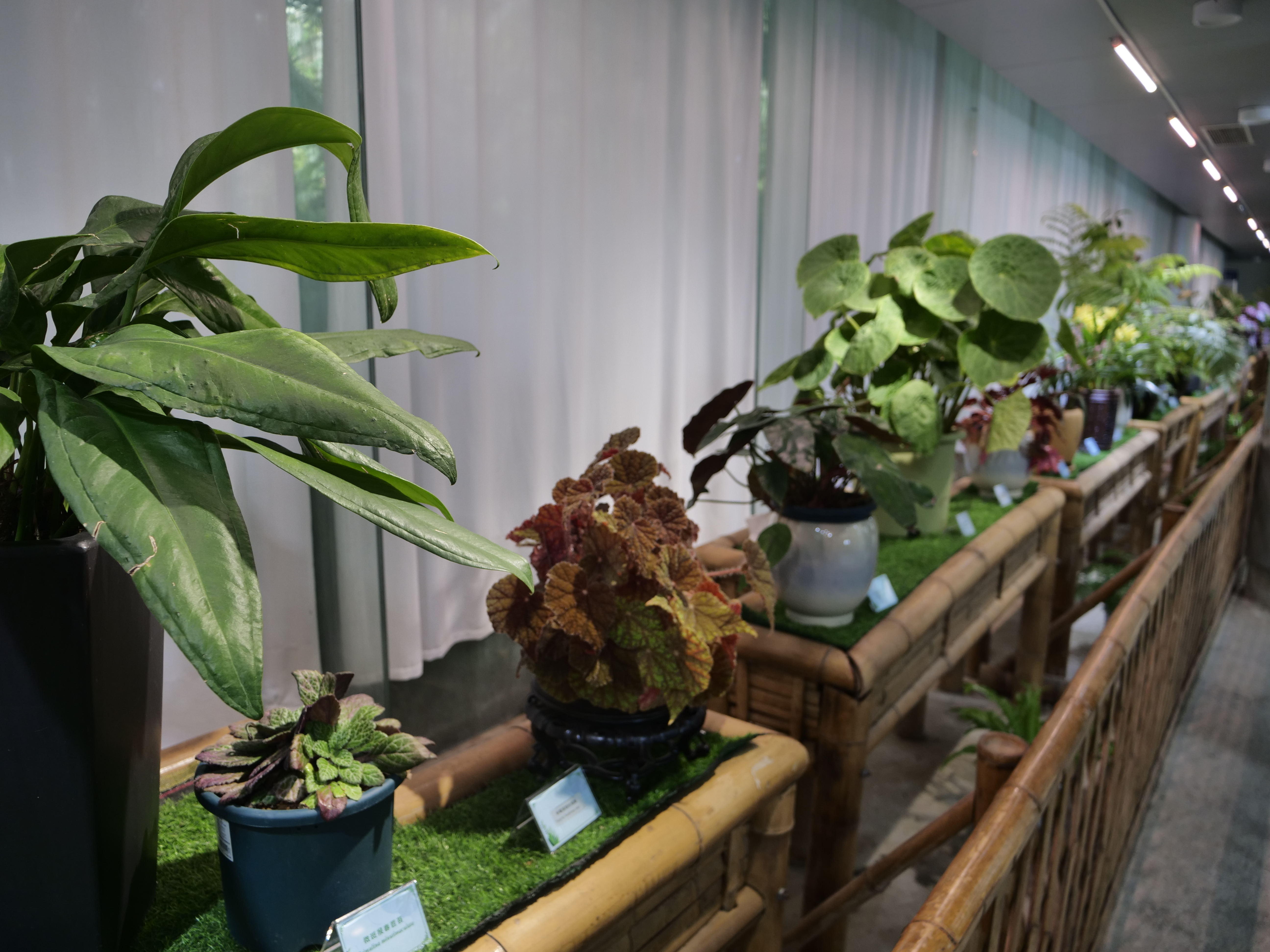 南京中山植物园多场科普展览面向公众开放