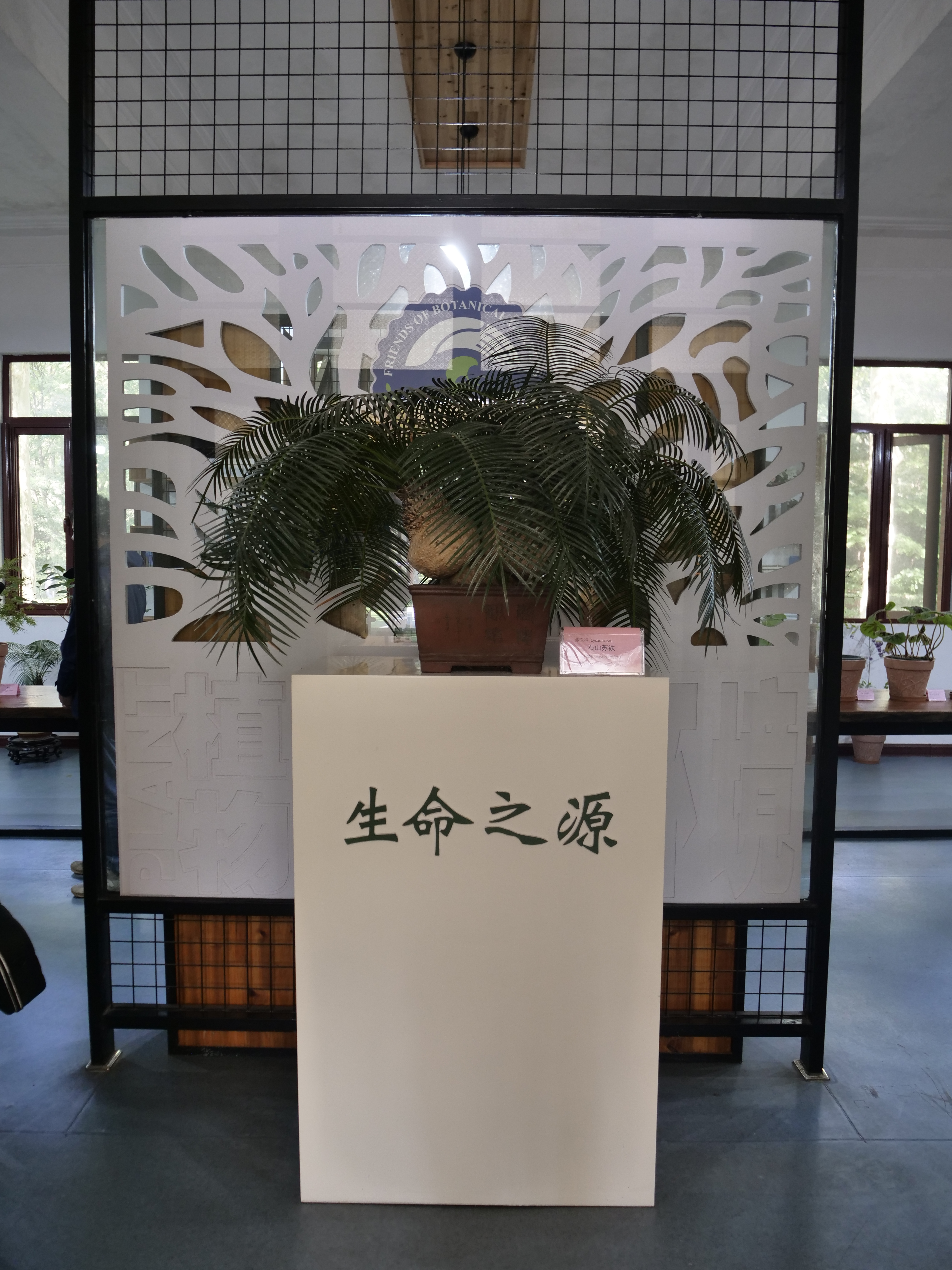 南京中山植物园多场科普展览面向公众开放