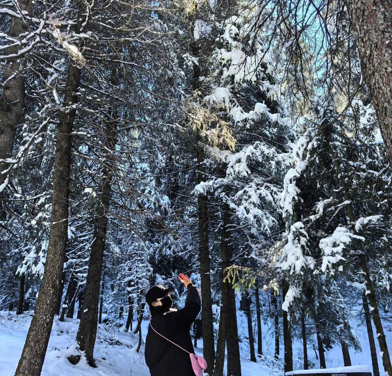 杨幂在铺满雪的山林间回首。