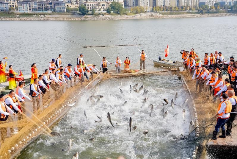 江西武宁大力挖掘渔文化 绘就一派“鱼跃人欢”好景象