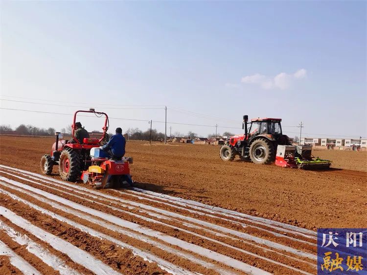 ▲宁县中村镇村民进行机械化复种作业