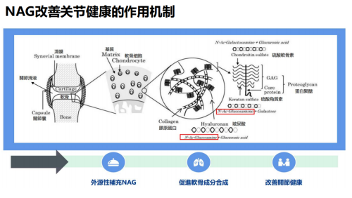 点击查看原始图片