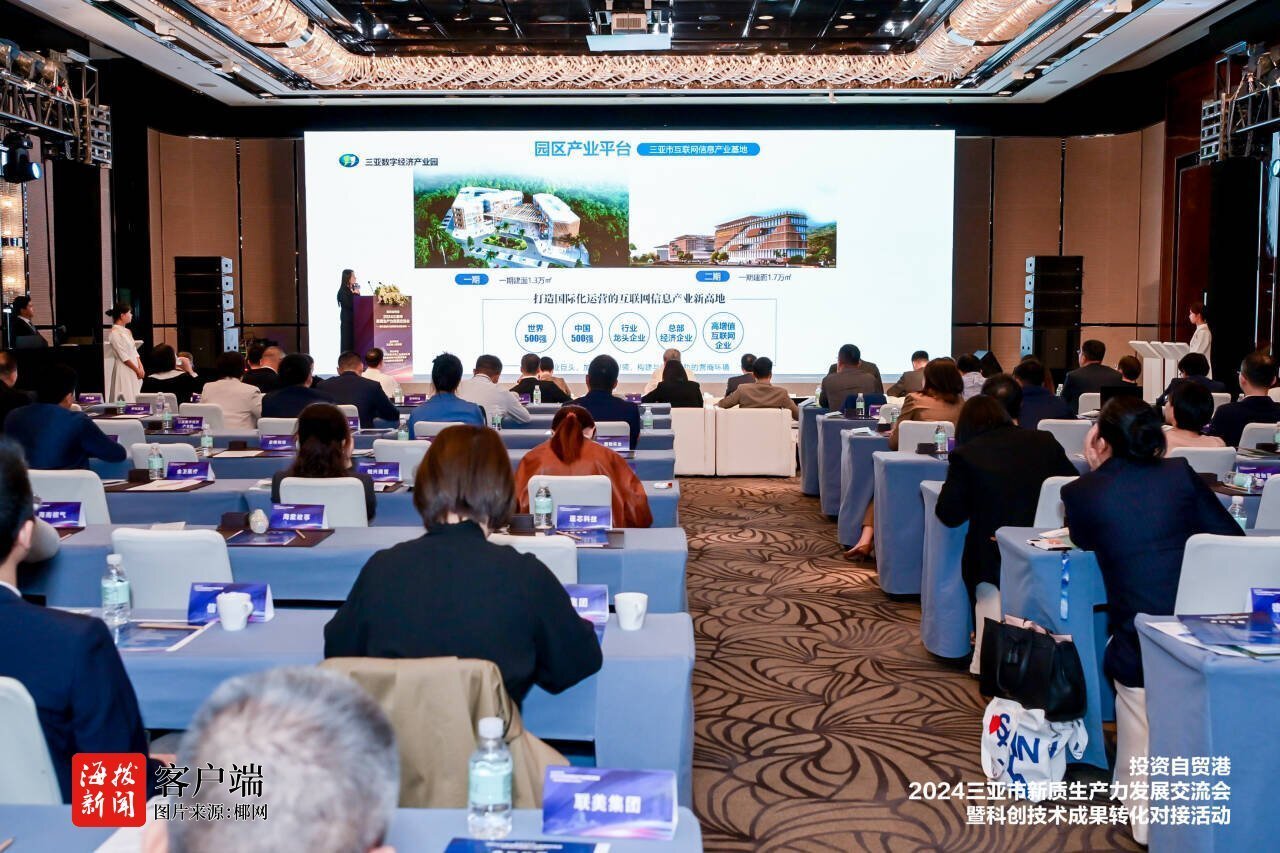 投资自贸港·2024三亚市新质生产力发展交流会在沪举行凤凰网海南_凤凰网