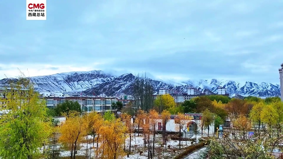 西藏日喀则｜初雪邂逅金秋 雪花和秋叶高原同框