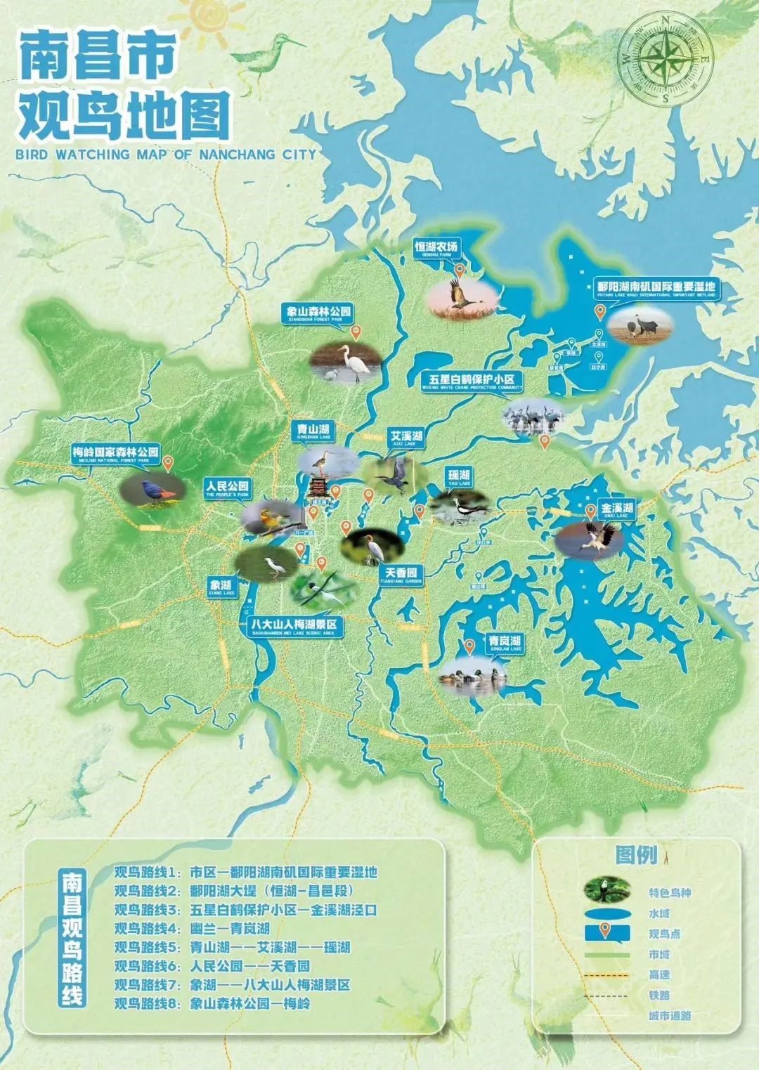 新一周天气适宜，快收下南昌这份观鸟指南