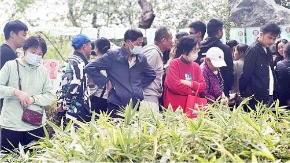 八一公园相亲角人头攒动，父母们忙着帮孩子找对象