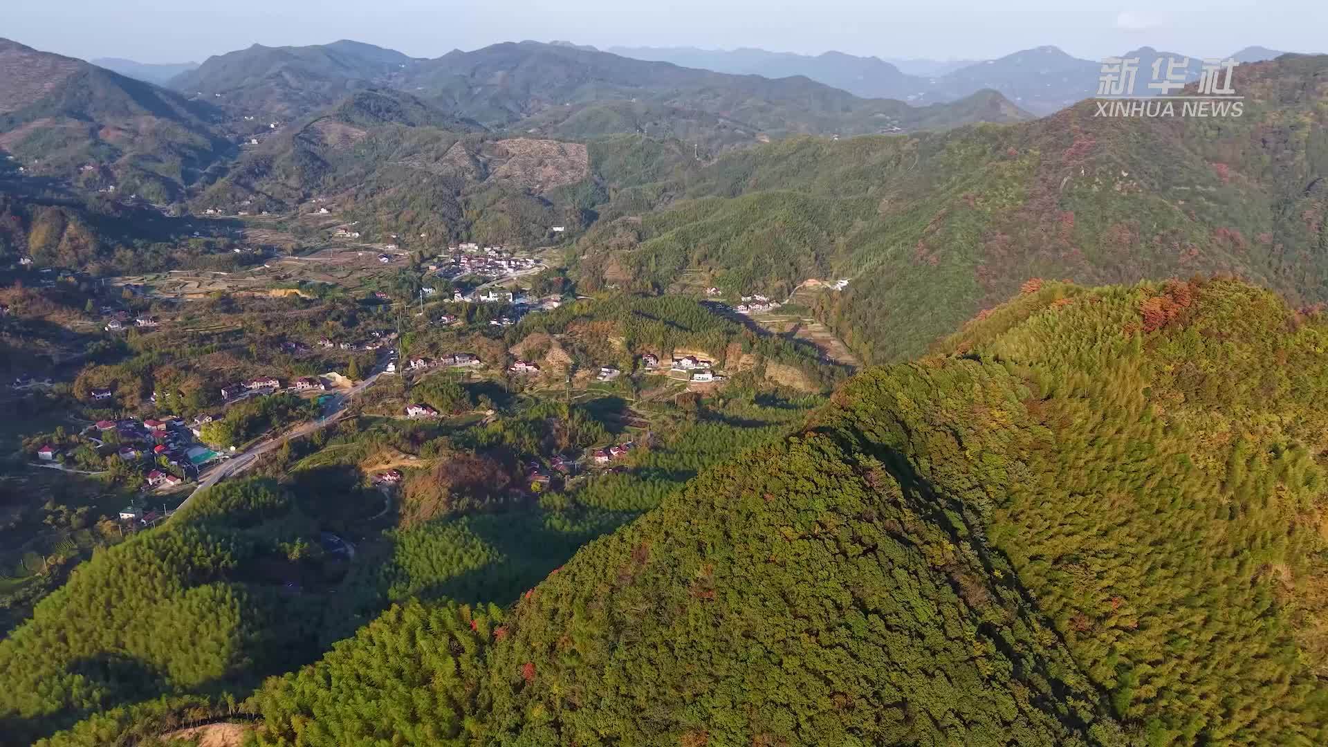 浙江湖州：“千家乡宿”点亮乡村“美丽经济”
