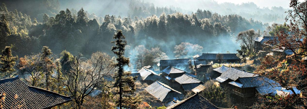 ▲小溪国家级自然保护区次生林风光