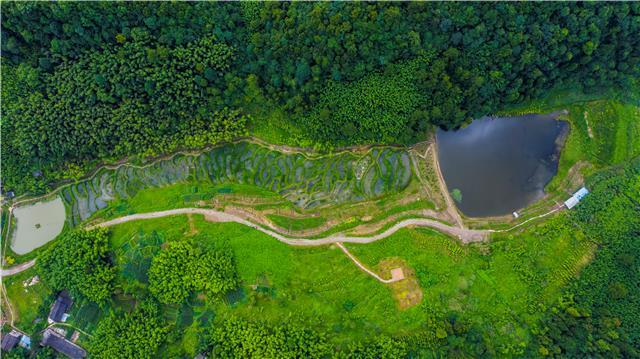 “小微湿地+”特色的生态修复模式 竹山镇供图