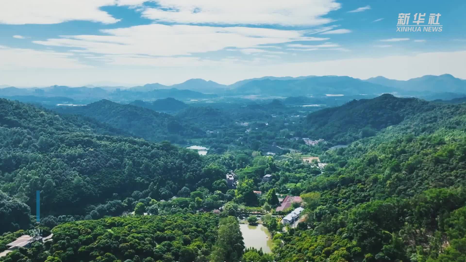 “空地一体、以水灭火”森林草原防灭火实战演练举办