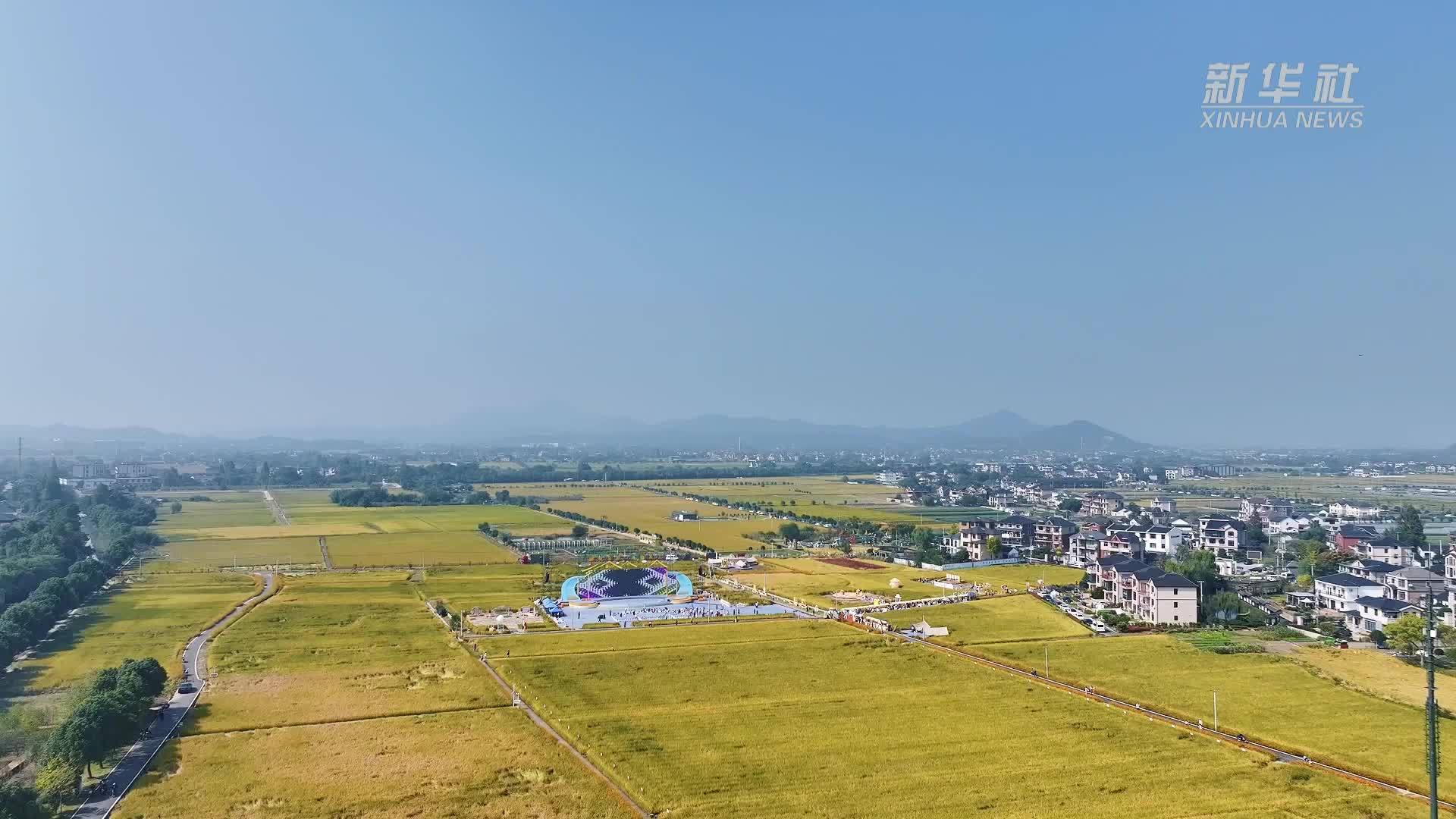 杭州余杭：稻田丰收节 农旅融合好风景