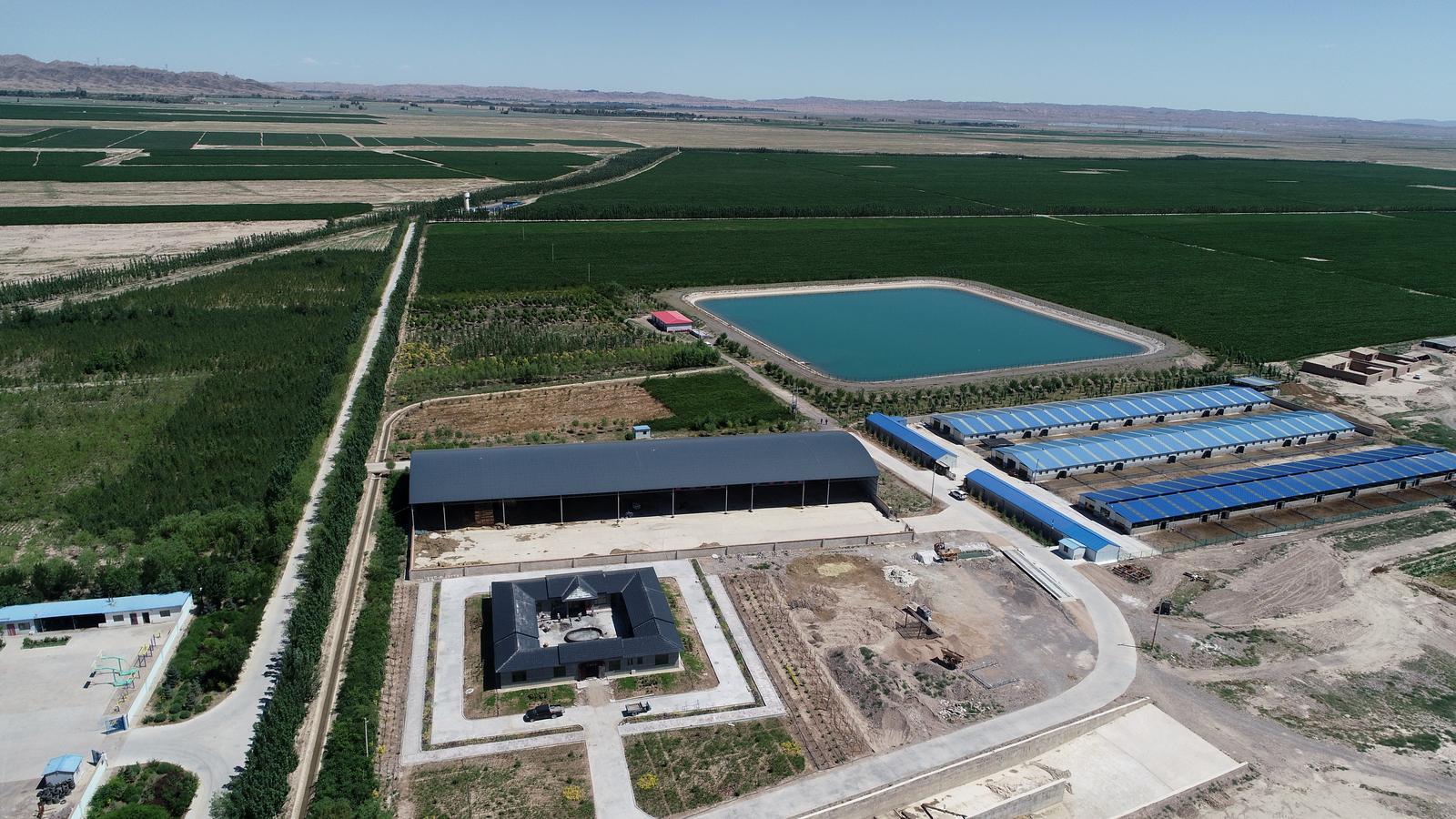 永昌破解“水”瓶颈　做好农业节水增效加减法