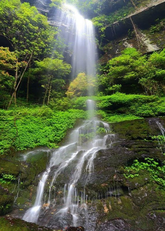 ▲小溪国家级自然保护区溪水