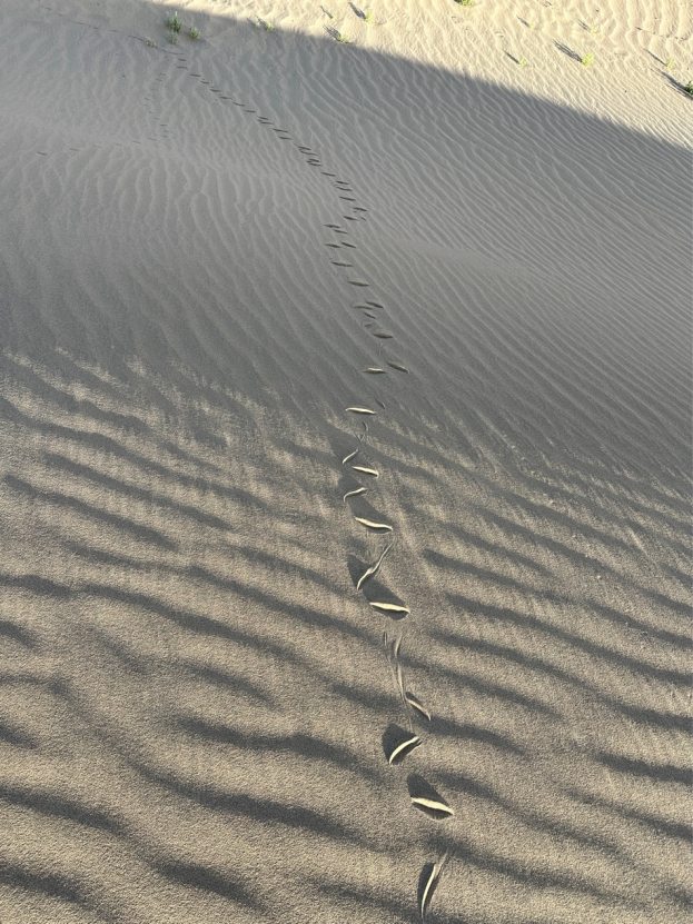 明清敦煌主打半废墟破落风格　再度“翻红”全靠藏经洞