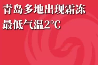 青岛多地出现霜冻，最低气温2℃