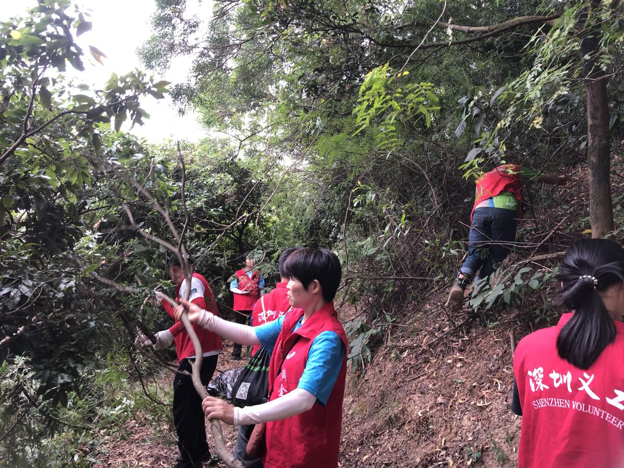 深圳市第十四届“发现横岗之美”山地车挑战赛暨第八届铁人二项接力赛精彩纷呈