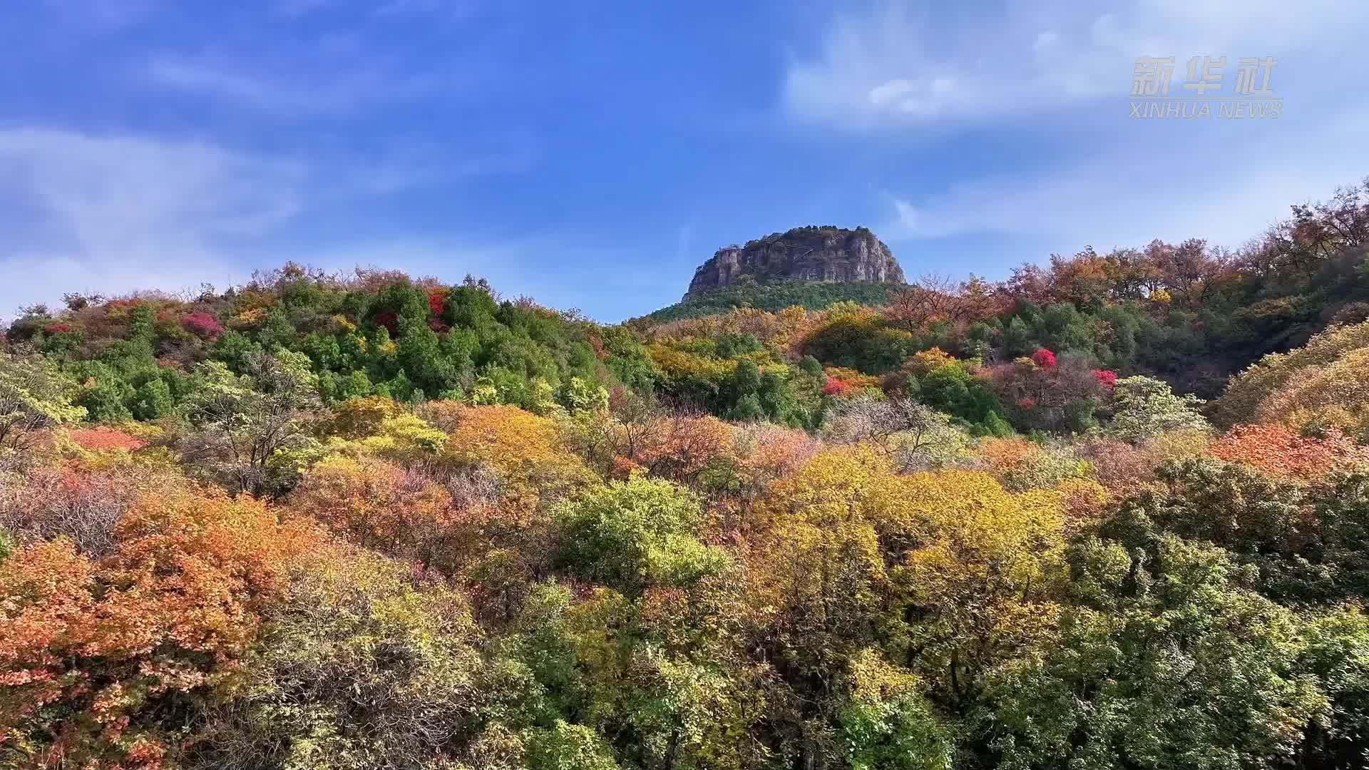 四季旅行｜枣庄山亭：漫山彩林风光好